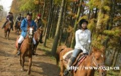 黃河森林公園開心果樂園自助燒烤一日游