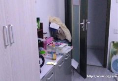 文化西路與佛山街 精裝公寓 可月付 可日租 短租 長租